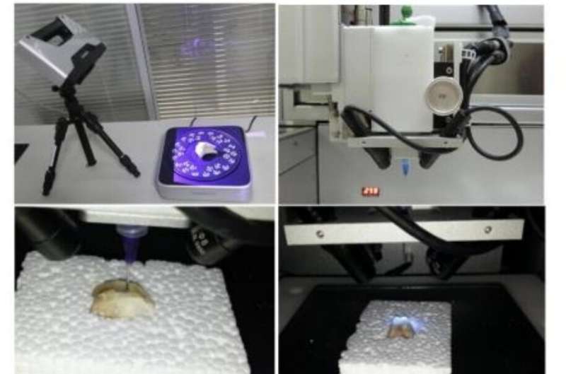 Обзор последних достижений в области роботизированной печати хирургических имплантатов, способствующих регенерации хряща post thumbnail image